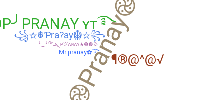 Apelido - Pranay