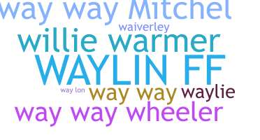 Apelido - Waylin