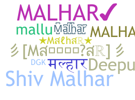 Apelido - Malhar