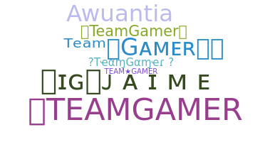 Apelido - TeamGamer