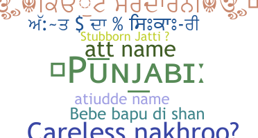 Apelido - Punjabi