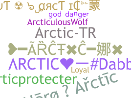 Apelido - Arctic