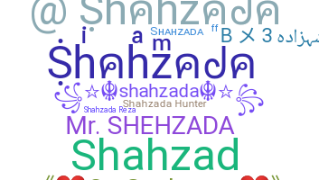 Apelido - Shahzada