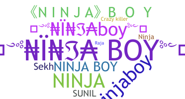 Apelido - NinjaBoy