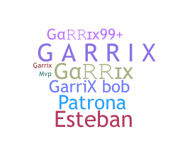 Apelido - Garrix