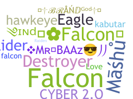 Apelido - Falcons