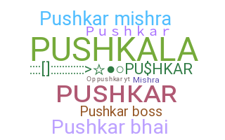 Apelido - Pushkar